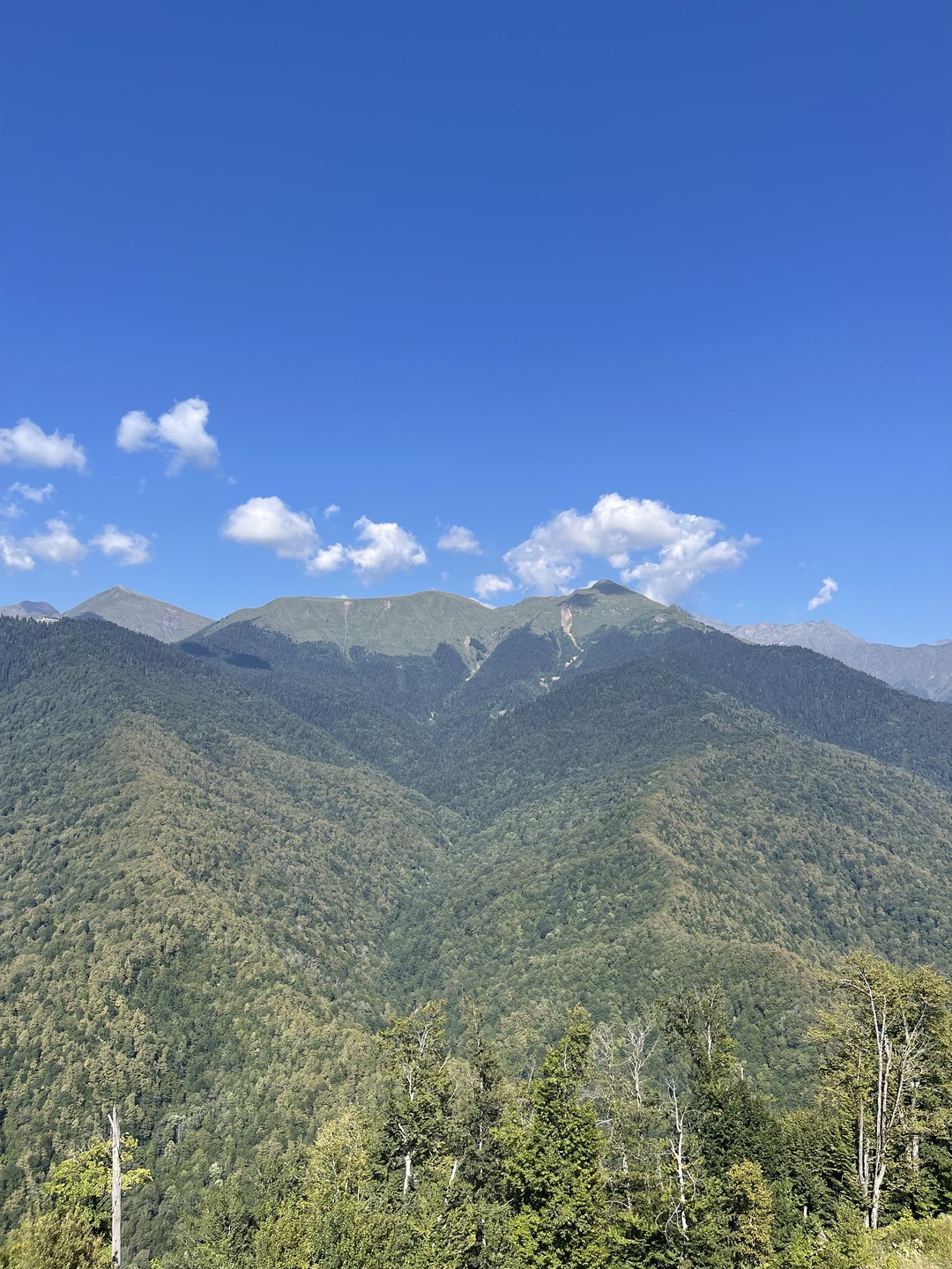 Интересная, комфортная и увлекательная прогулка!!! Александру огромное спасибо👍🏻👍🏻👍🏻