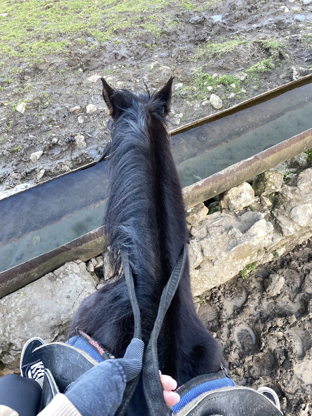 Прогулка прошла на высшем уровне