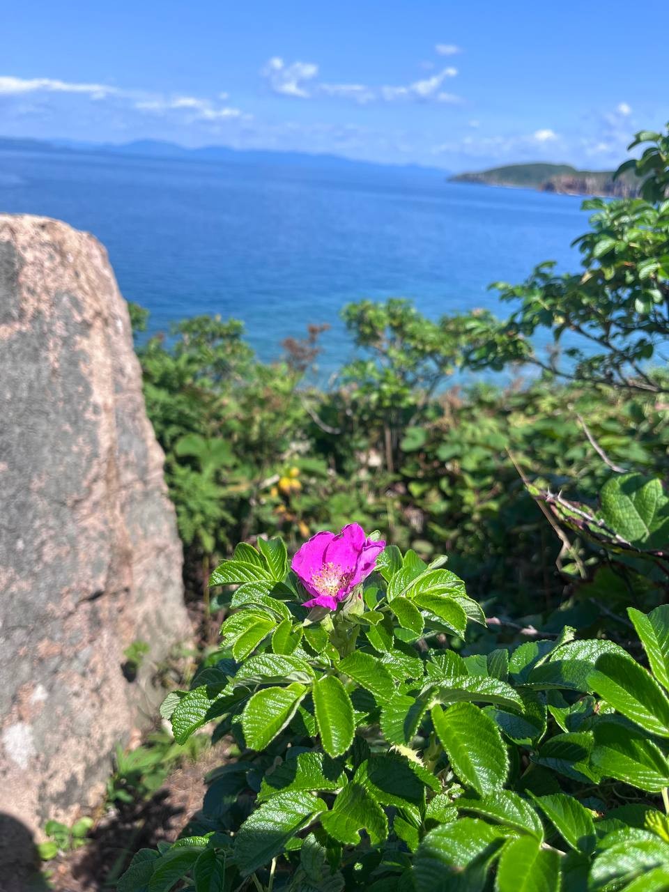 Вокруг императорских островов на катере (Александр)