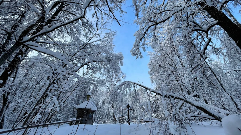 Из Дивеево - в Курихинский Знаменский женский монастырь