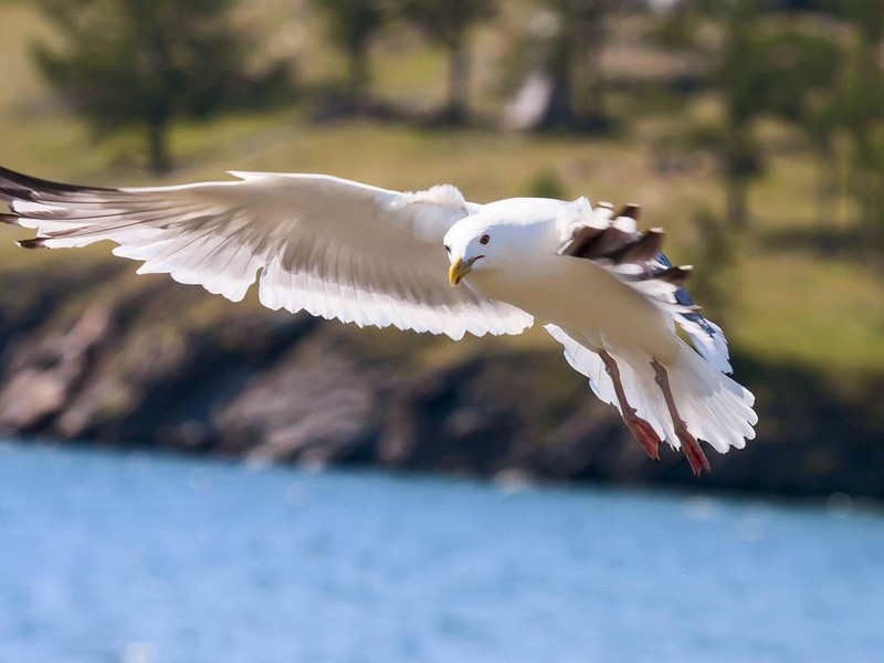 Фото отзыва 3: авторский тур "Первая встреча с Байкалом: три дня на острове Ольхон"