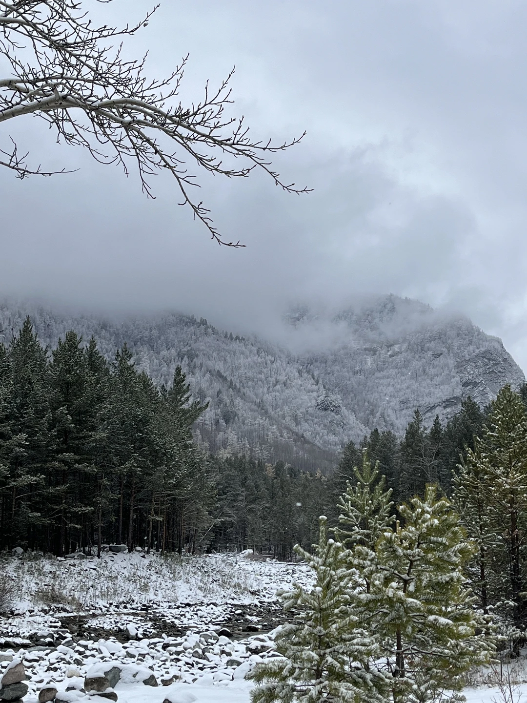 Из Иркутска - в Аршан, к подножию сибирских Альп (Юлия)