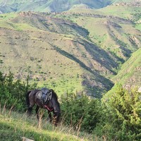 Фото отзыва 3: экскурсия "Знаменитые места Дагестана за 3 дня"