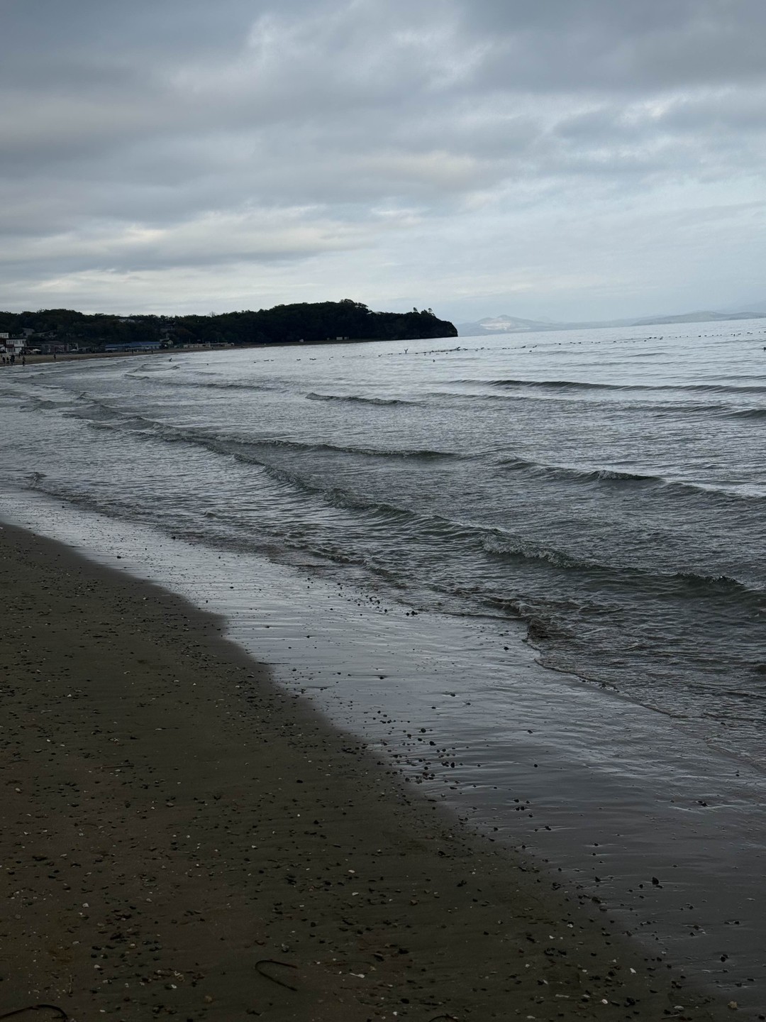 Экскурсия 3 в 1: сафари-парк + бухты Шамора и Стеклянная (Екатерина)