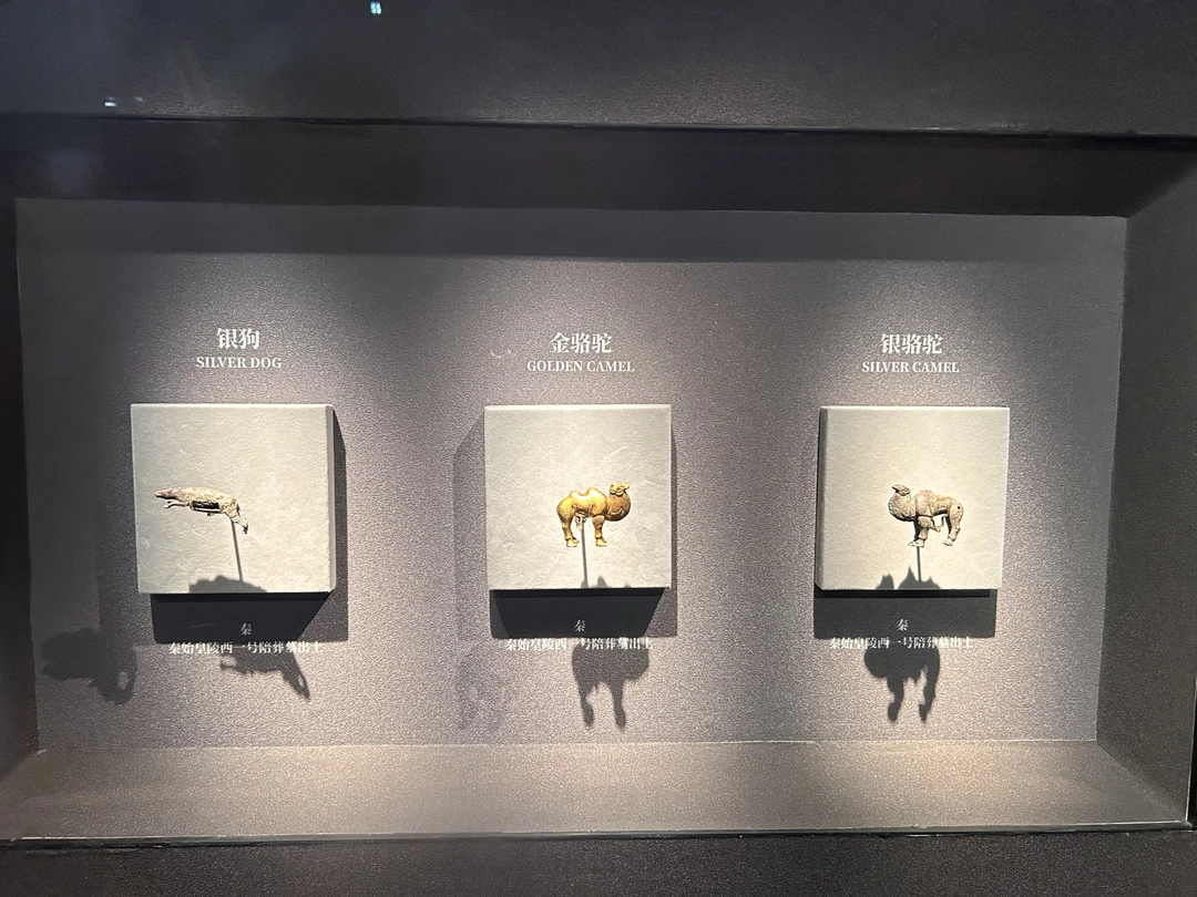 Алина прекрасный гид♥️ огромная благодарность от нашей семьи за невероятное погружение в историю создания терракотовый армии