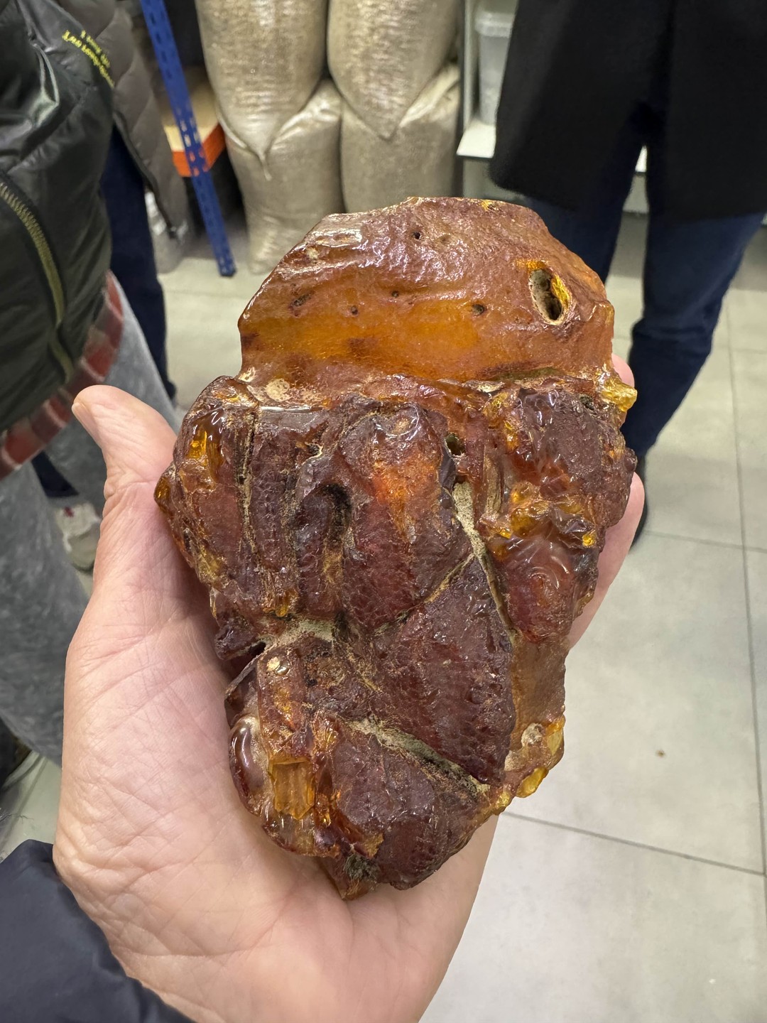 Балтийск, Янтарный и Светлогорск: экскурсия в мини-группе (Елена)