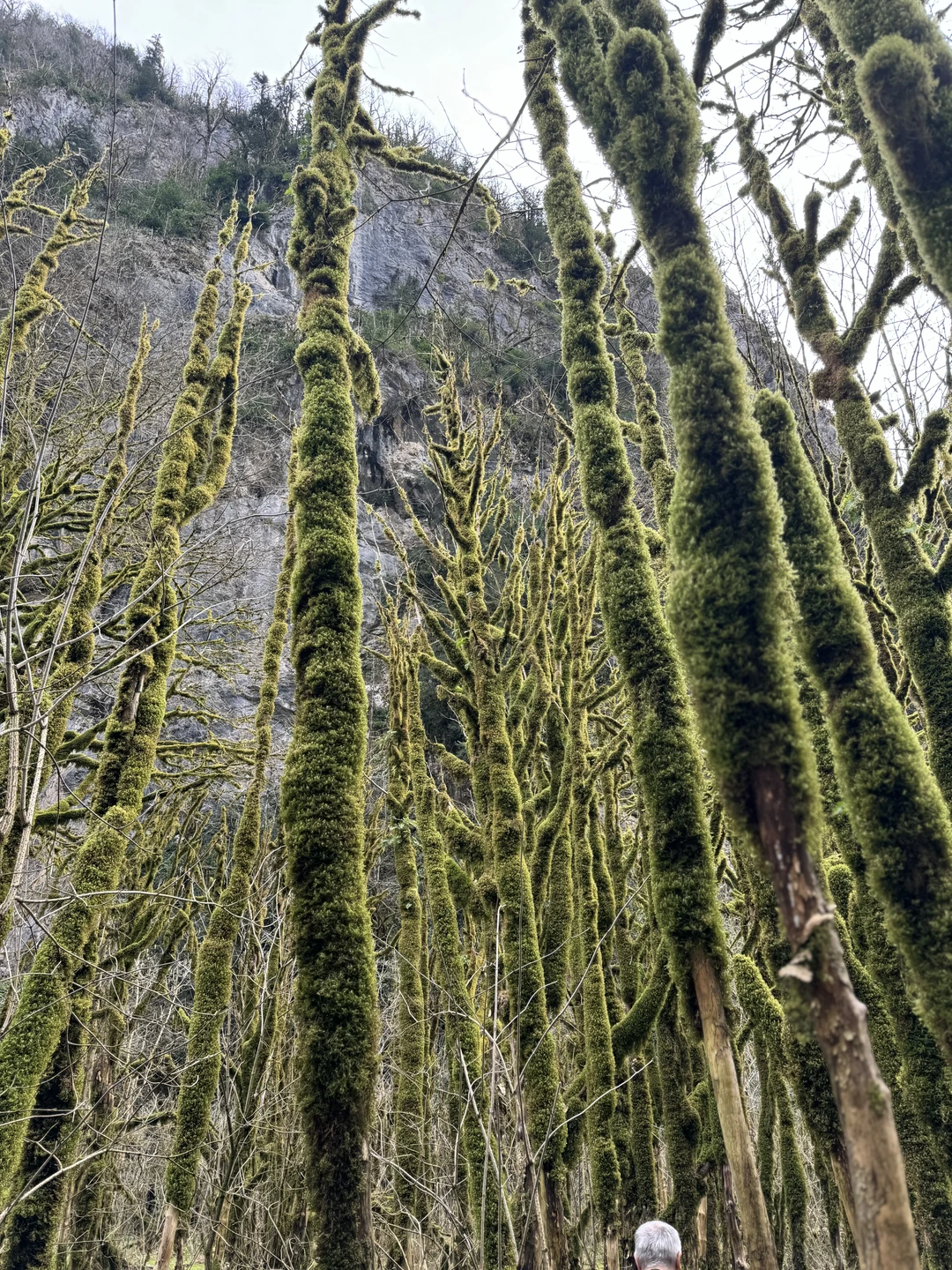 Были на экскурсии с Алхазом. Экскурсия очень понравилась - нас отвезли на комфортном автомобиле к красавице