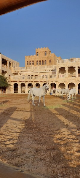 У нас остались самые лучшие впечатления от экскурсии и от гида-Венеры. Мы посетили все знаковые места