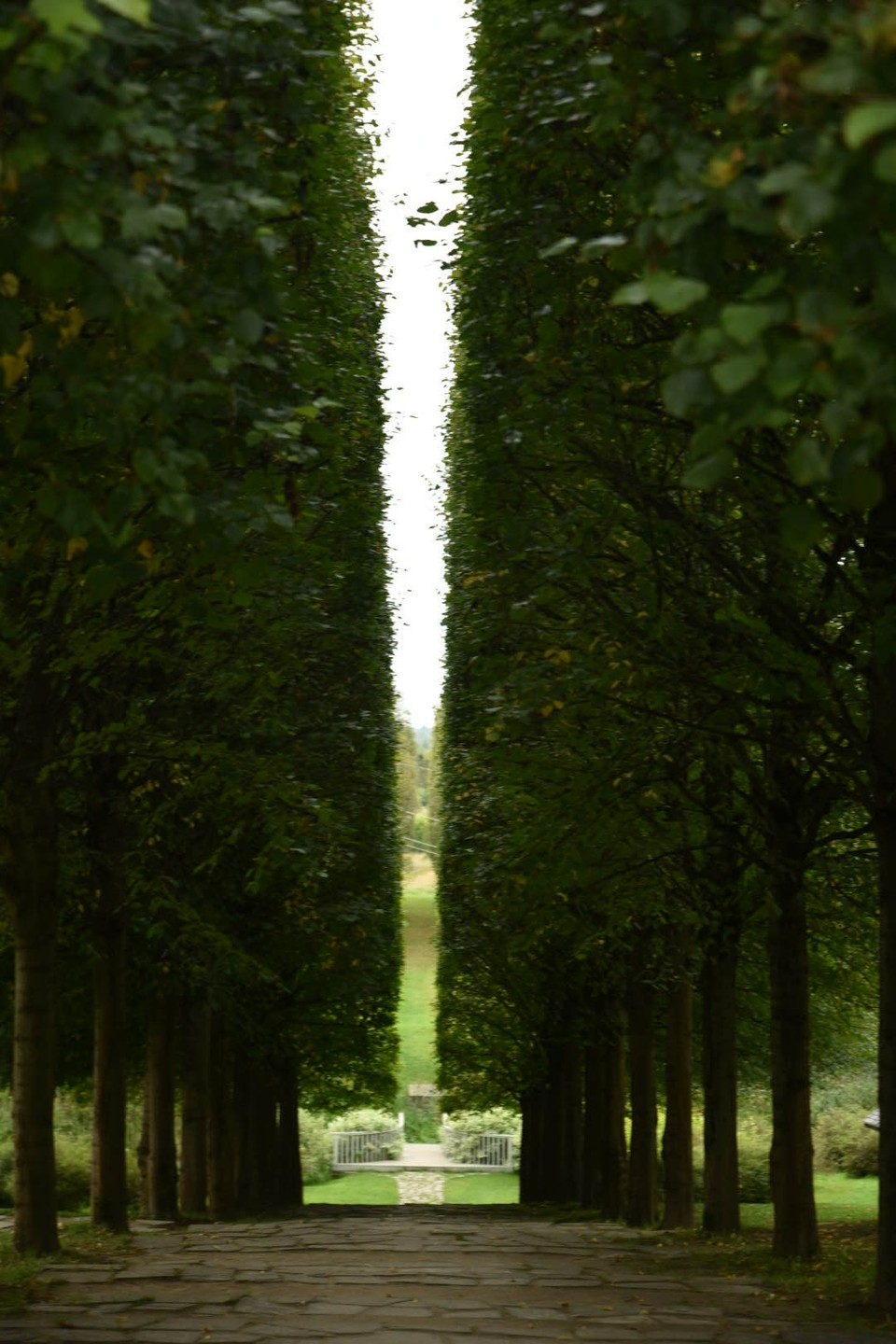 Легенды Себежа и усадьба Ореховно (Юлия)