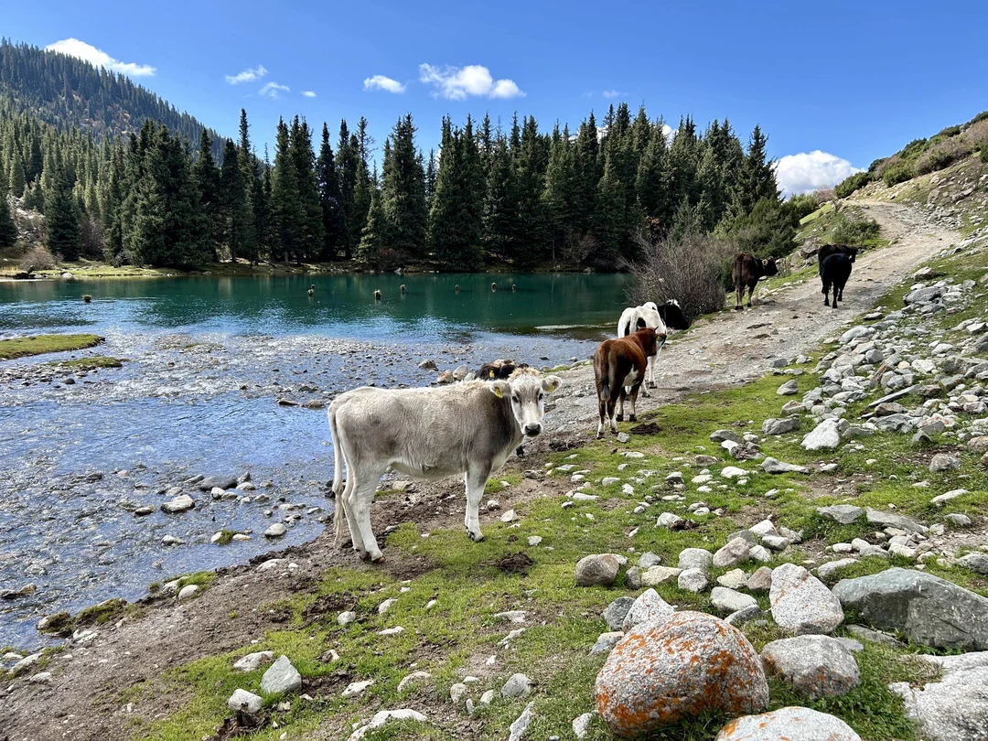 Спасибо большое! Очень интересно и информативно
