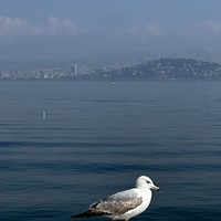 reviews img