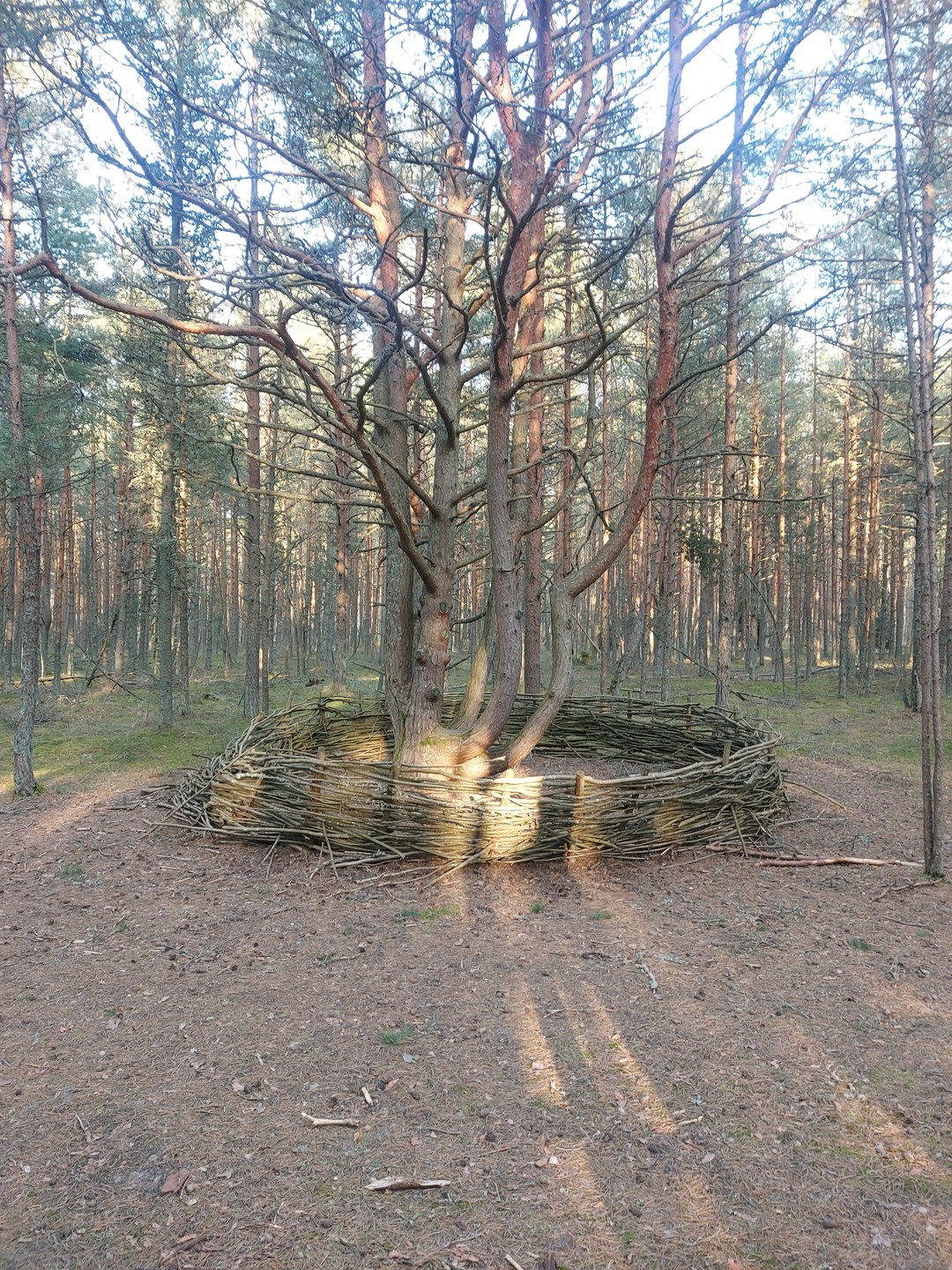 Удивительный Кранц-Зеленоградск и Куршская коса (Барабашкин)