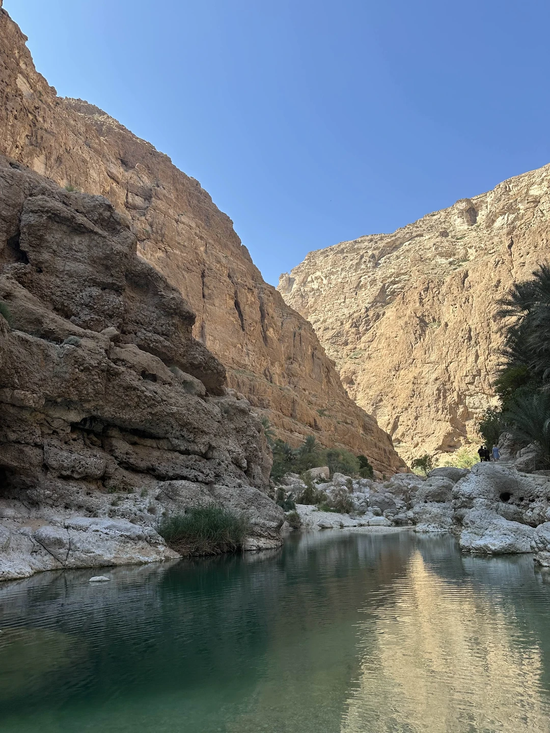 Поездка в сказочный оазис - Вади-Шаб (Zafar)