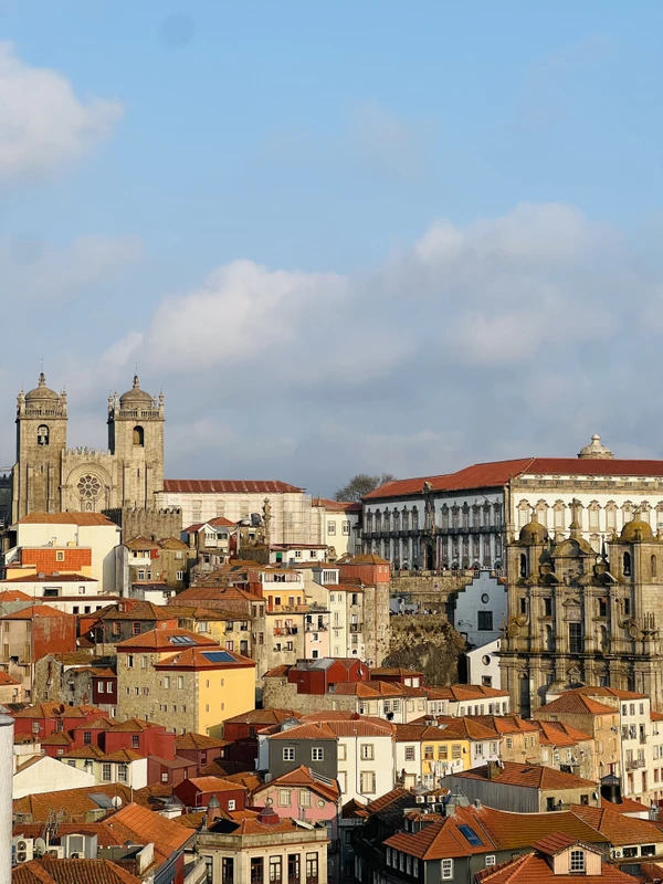 Порту на Tesla: автомобильно-пешеходная экскурсия