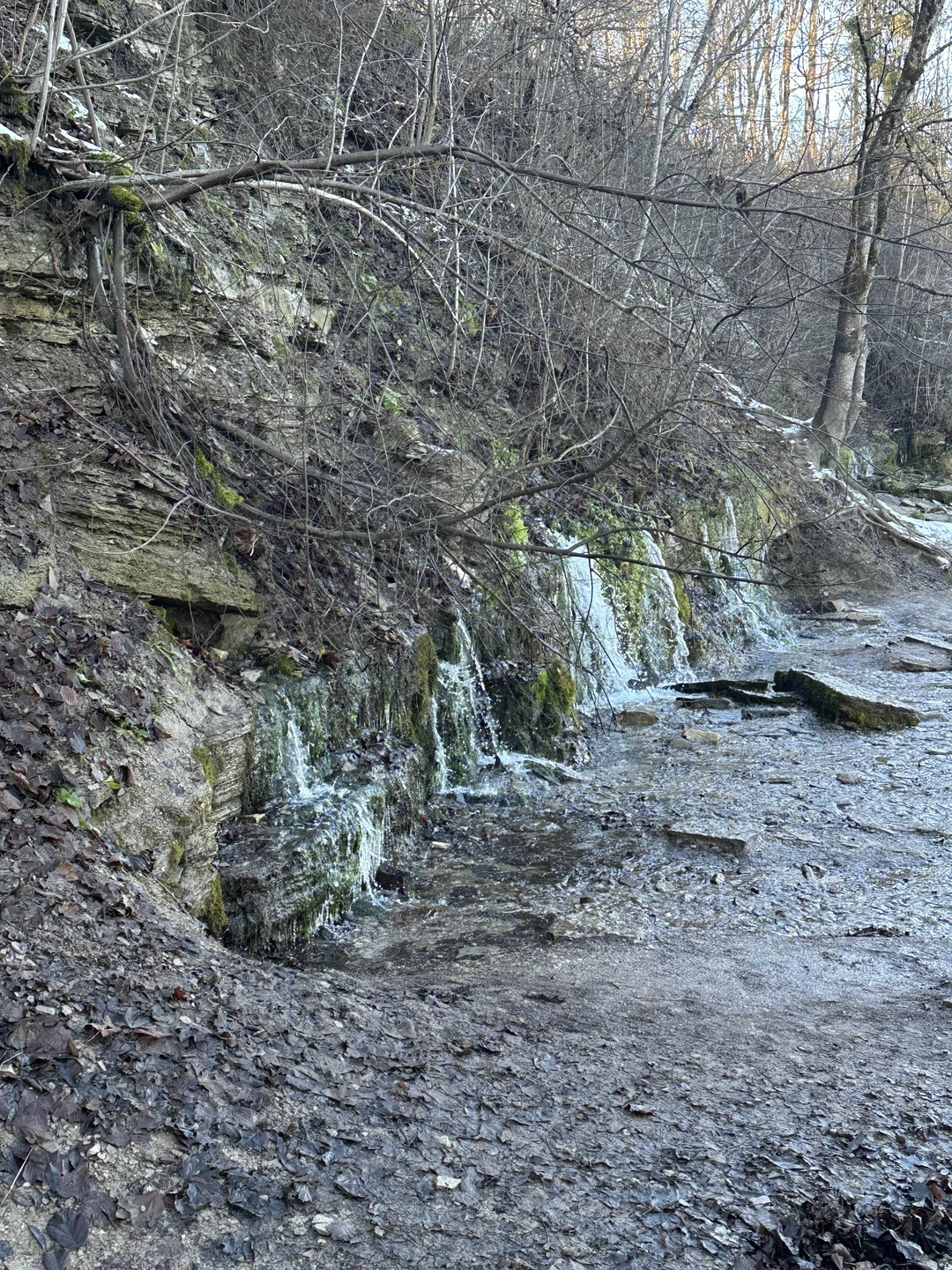 Замечательная экскурсия с замечательным Дмитрием! Всем советую!