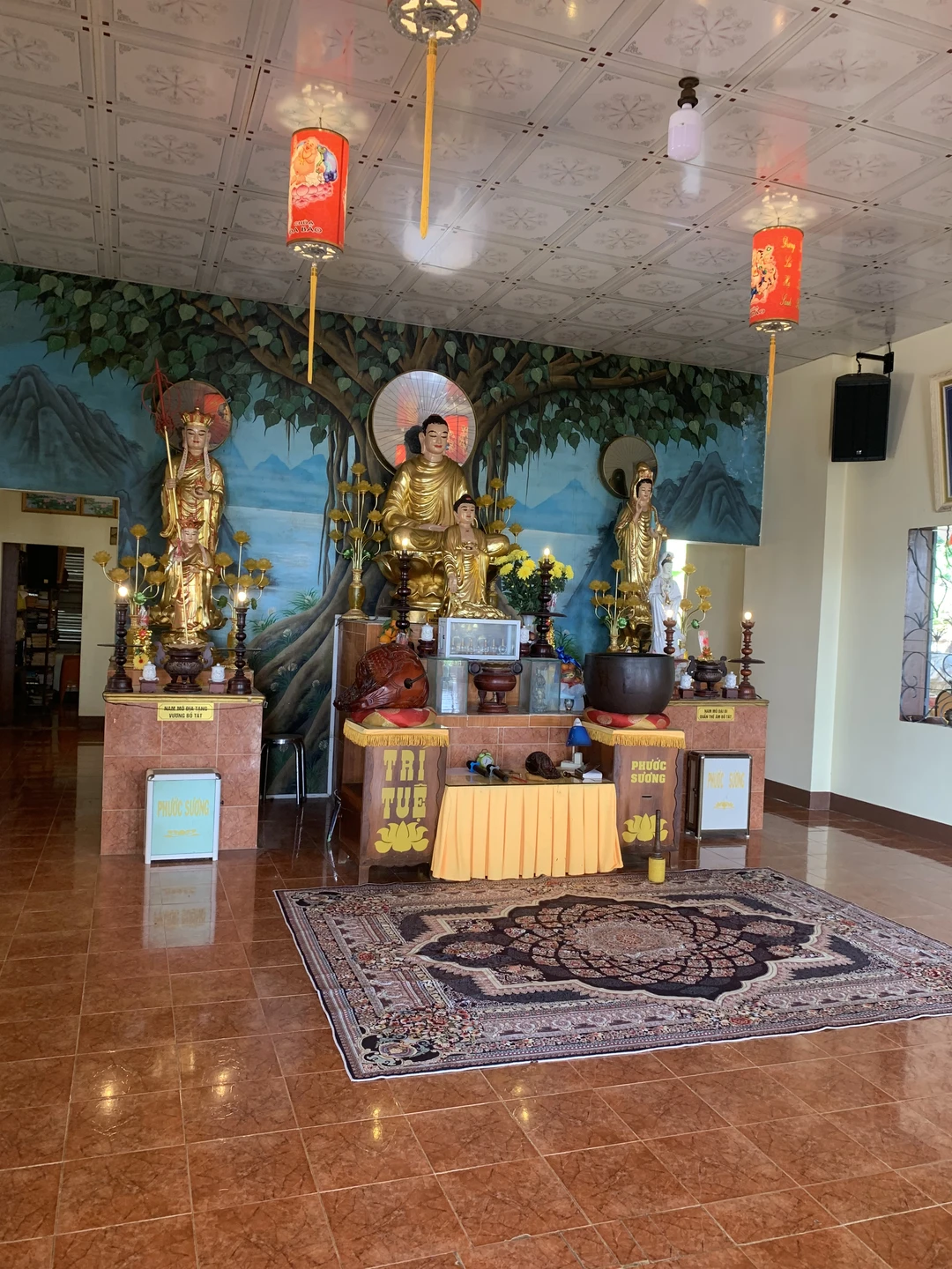 Отличная экскурсия! Огромное спасибо Ксении за прекрасный день. Было невероятно интересно, познавательно и очень душевно. Вы