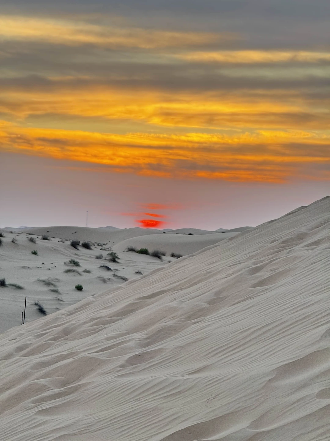 Однозначно рекомендую