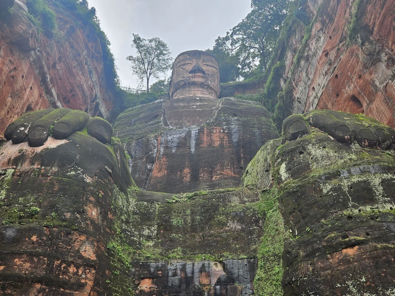 В поисках панд и скал-аватаров: индивидуальный тур в Чэнду и нацпарк «Чжанцзяцзе»