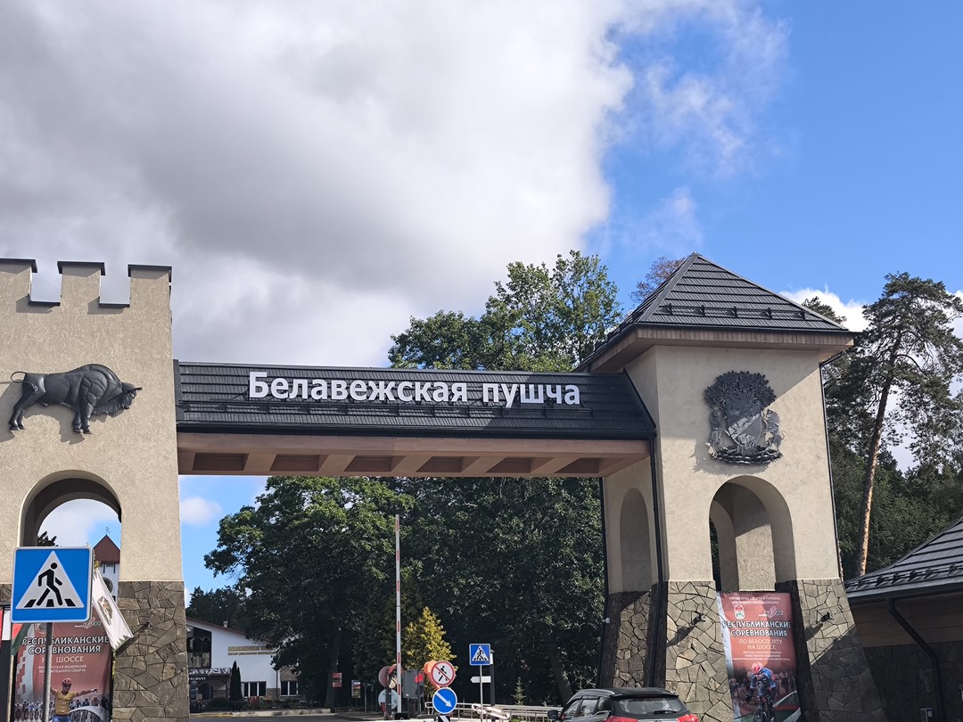Трансфер из Бреста на экскурсию в Беловежскую пущу (Оксана)