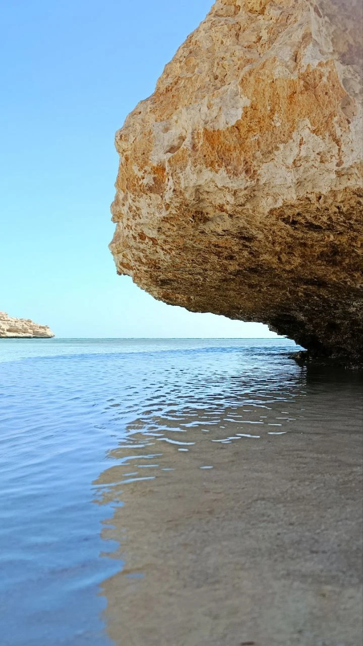 Отличный день в компании с Мустафой. Экскурсия по заповеднику, коралловая стена, которую не увидеть без сопровождения