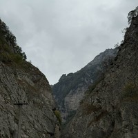 reviews img