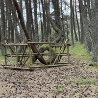 Фото отзыва 5: экскурсия "Автобусная экскурсия «Куршская коса, Зеленоградск и семейная сыроварня»"