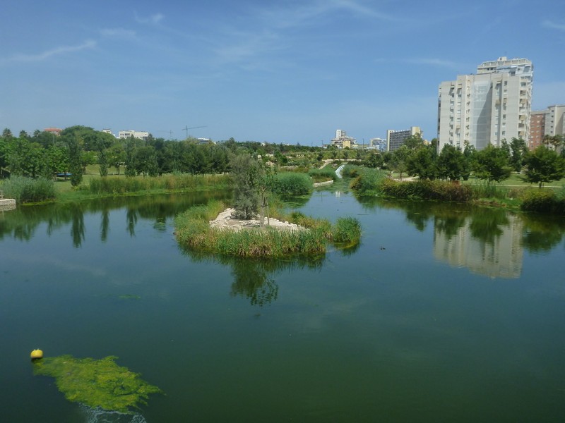 Велопрогулка по пригородам Аликанте
