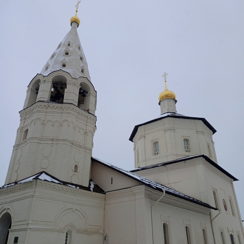 Чудотворный Бобренев монастырь (Ольга)