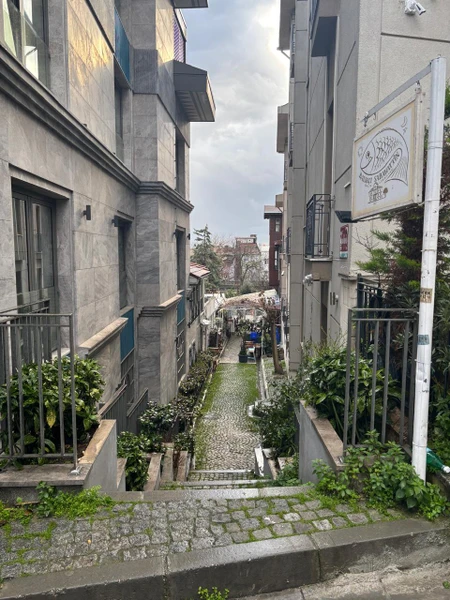 Исторический центр Стамбула (без очередей) (Виктория)