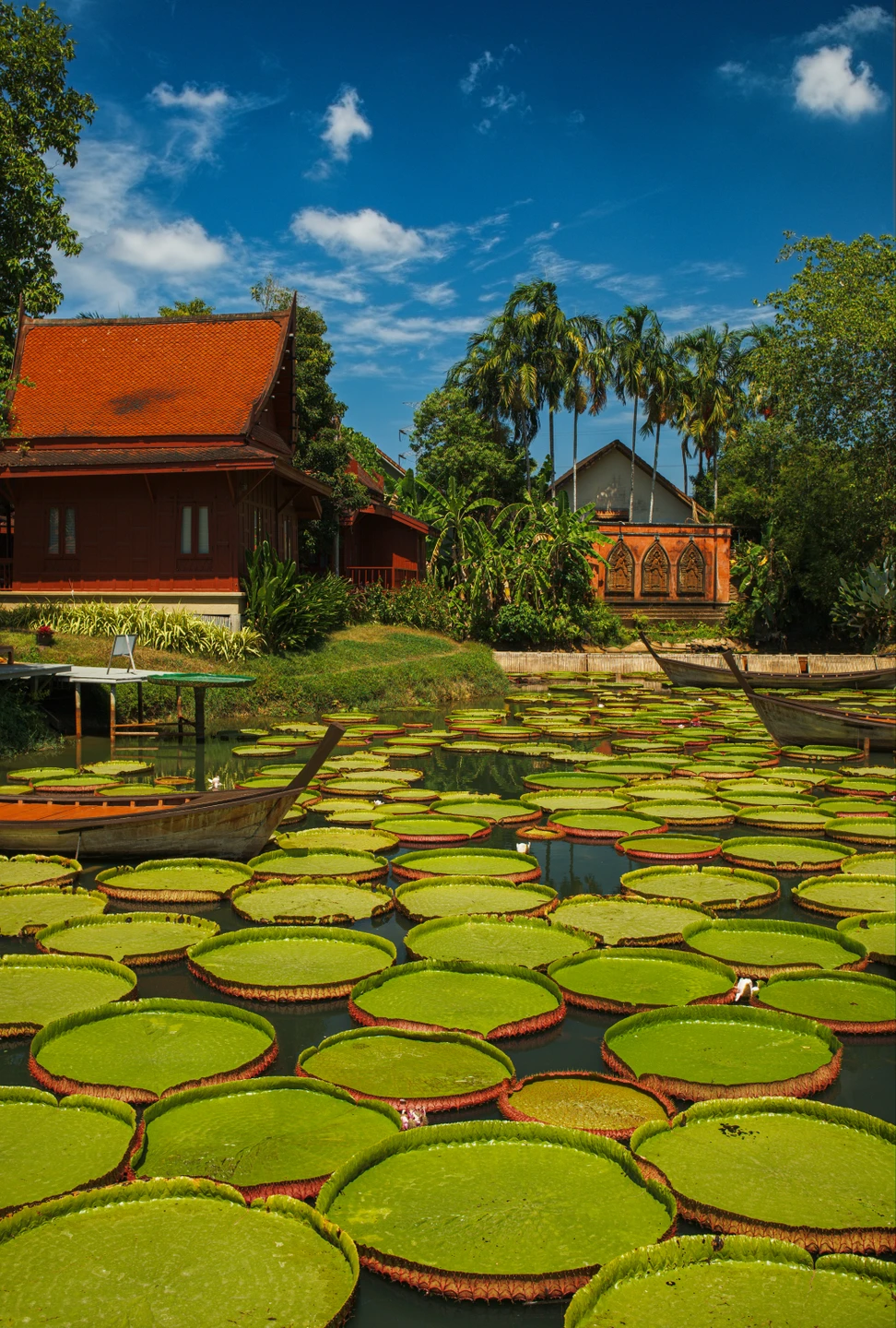 Вы хотели ярких фоточек? Вам сюда!