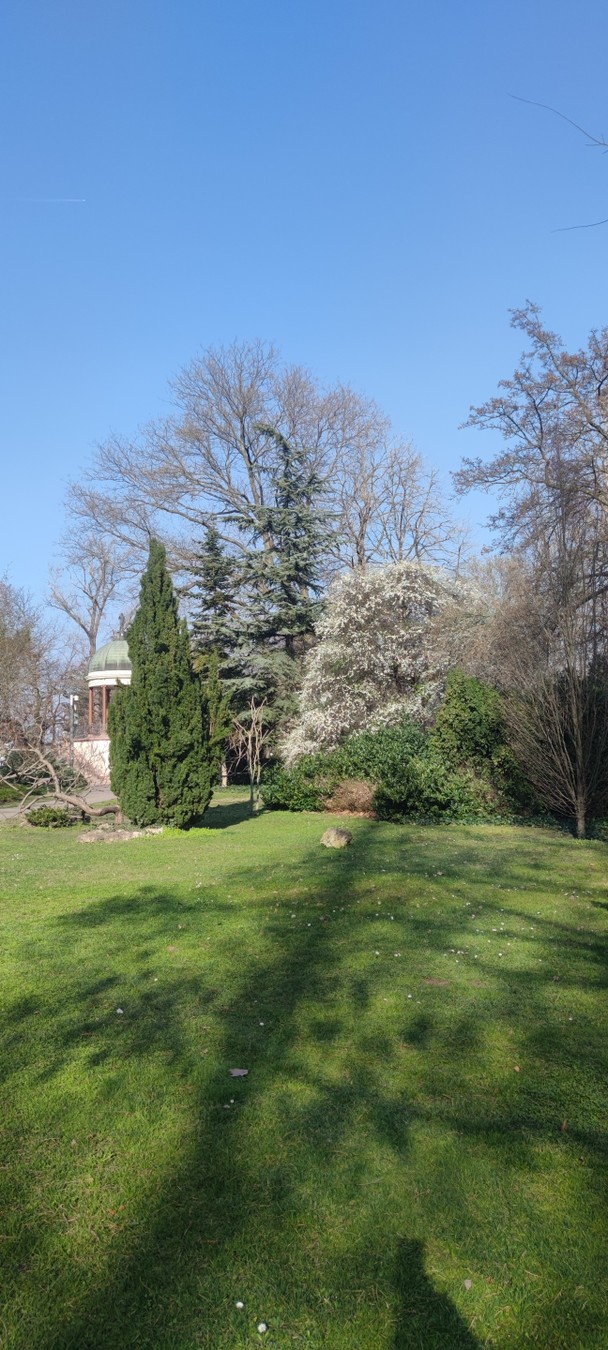 Фото Остров Маргит — сердце Будапешта