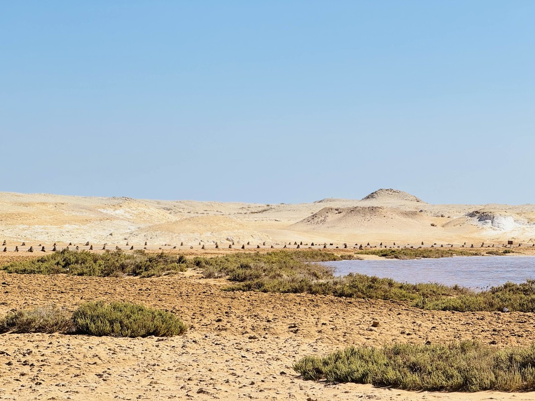 Отлично съездили с Мустафой в Рас Мухаммед. Увидели красоту-наземную и подводную. Муж с сыном в восторге