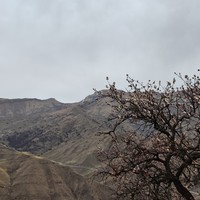 Фото отзыва 2: экскурсия "Погружение в тайны Дагестана"