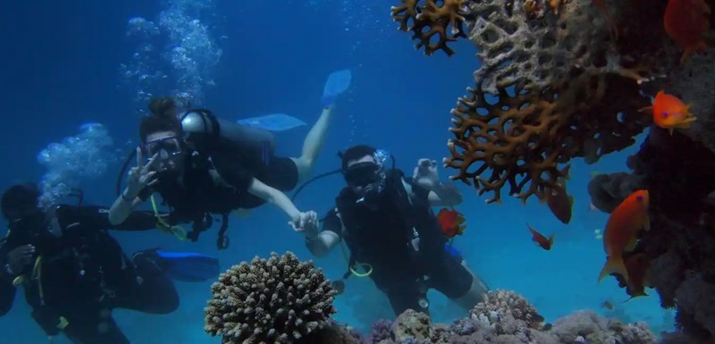Дайвинг в Аланье (всё включено)