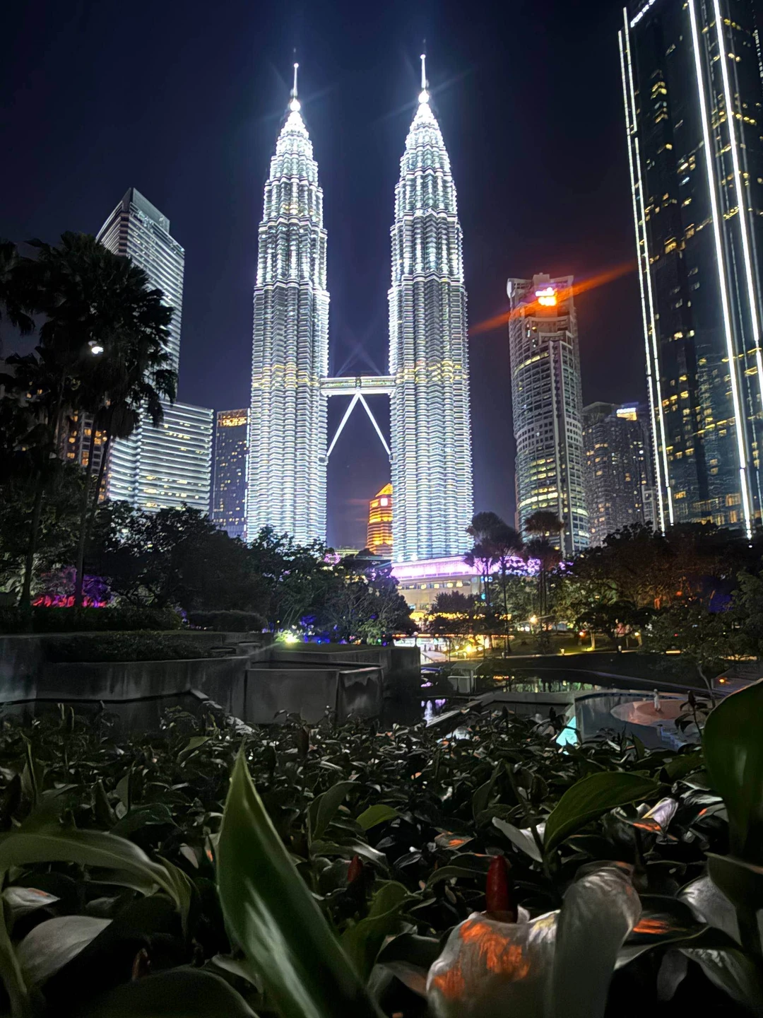 Отличный тур, если есть желание соприкоснуться и окунуться в азиатские страны на короткое время. Перед оформлением