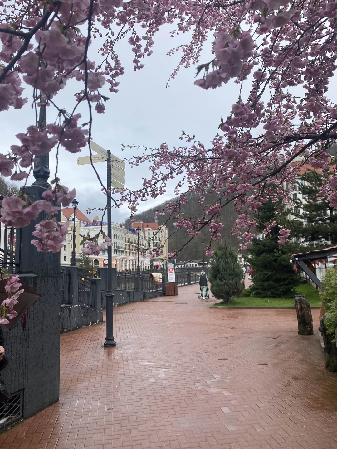 В целом, нормально. Доехали до Красной поляны, послушали информацию, погода была хмурая, на гору подниматься не