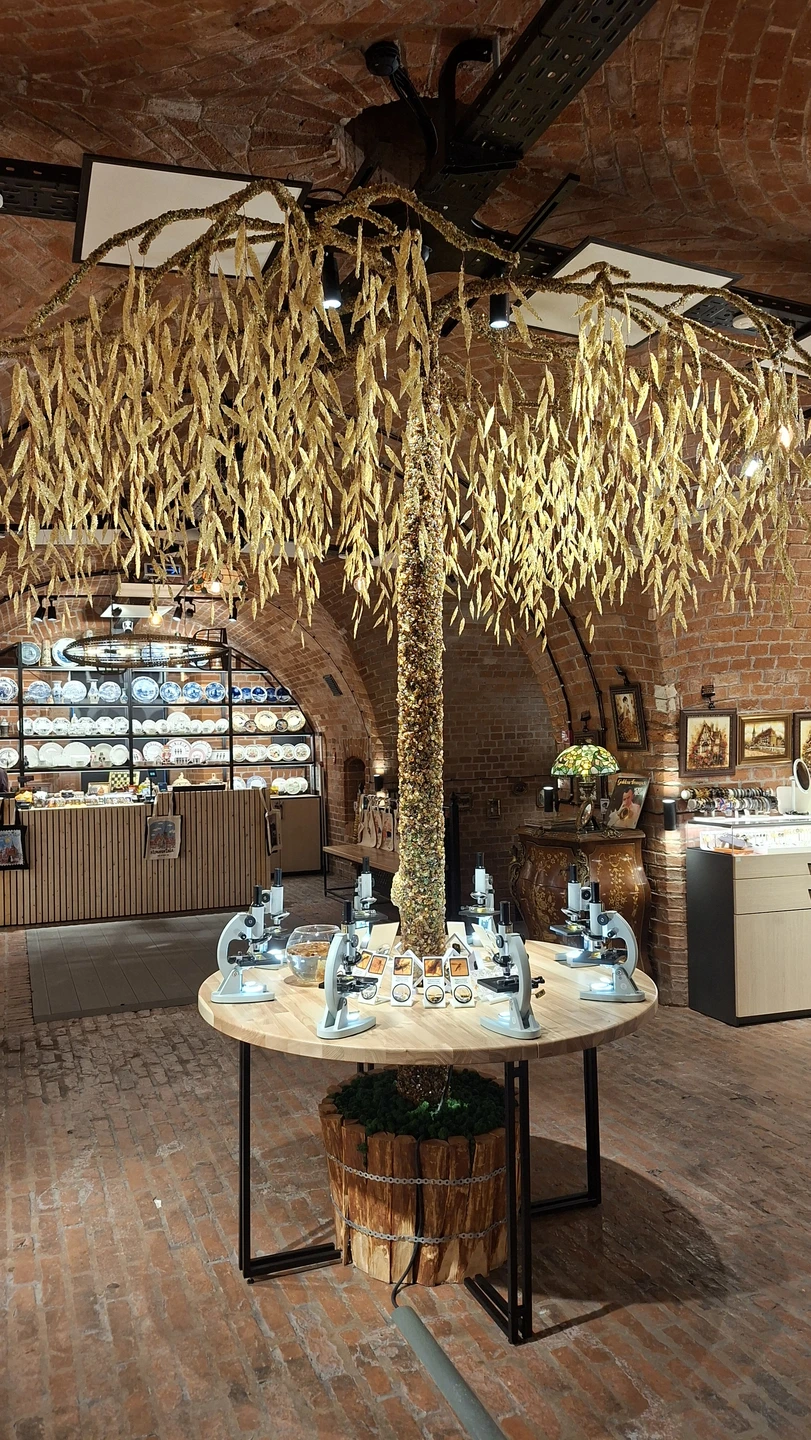 Калининград: самый смак за 3 часа (Мария)