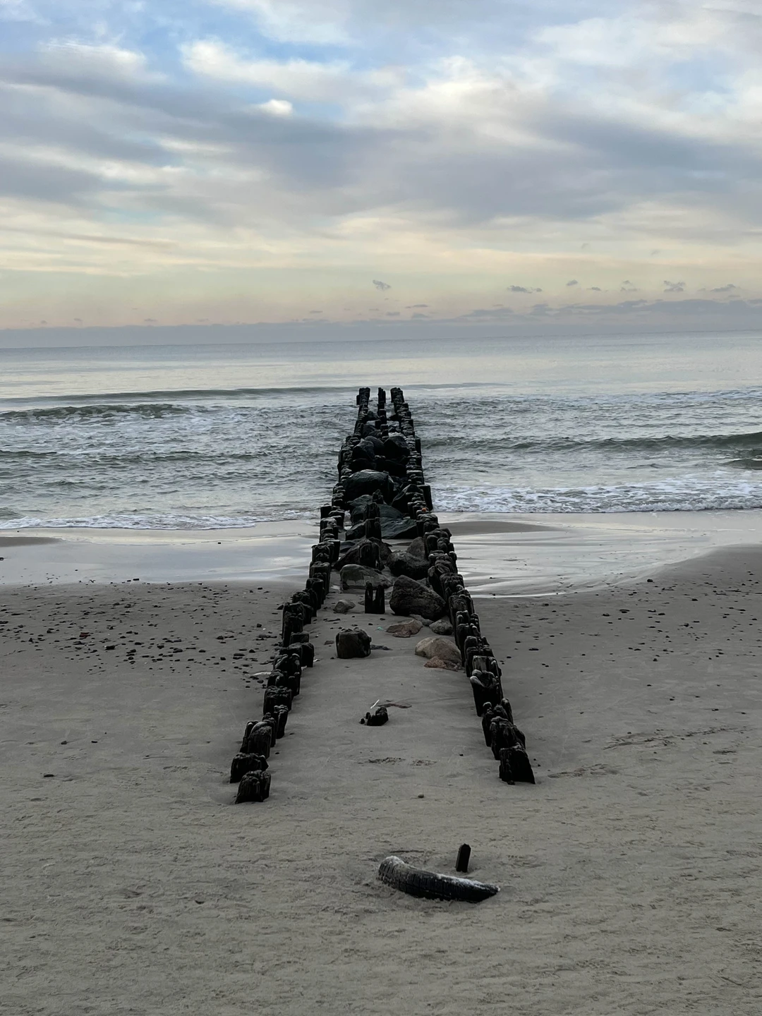 Достаточно насыщенная экскурсия,где вы увидите Зеленоград и его окрестности,погуляете по лесу, городу и замку. Мы, в