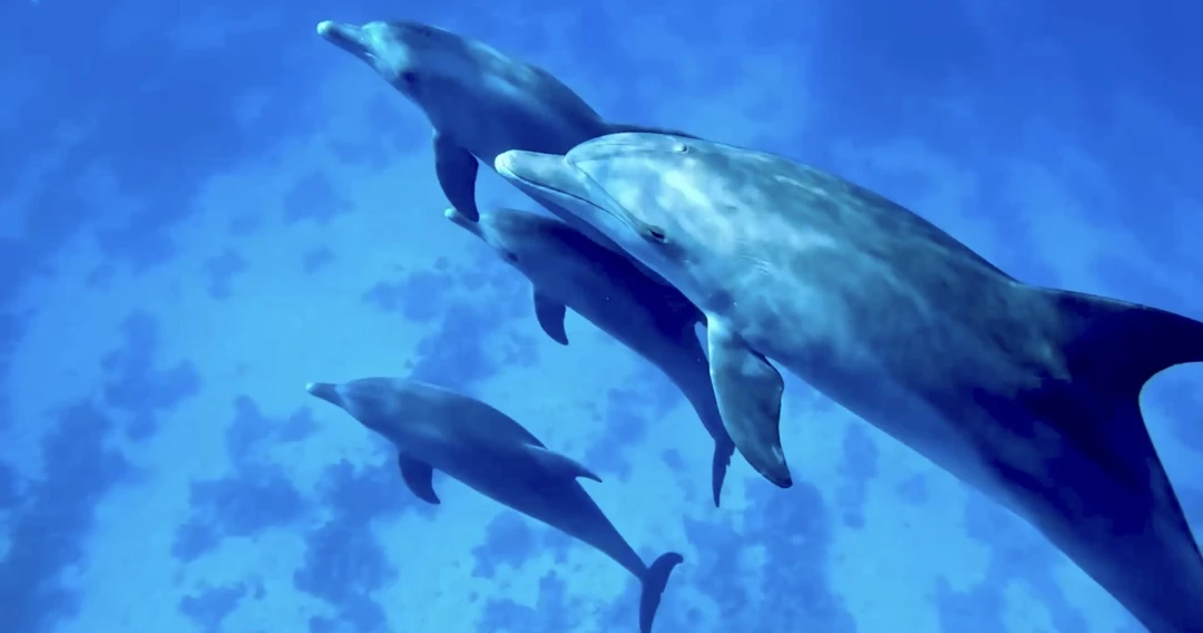 Это просто потрясающая экскурсия! Словами невозможно описать весь кайф который мы почувствовали!!! Мы не просто увидели