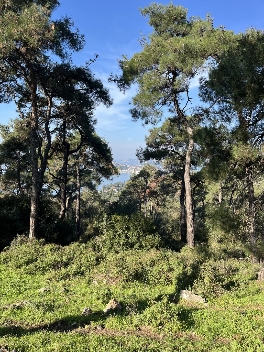 Спасибо, все отлично! Спасибо Кямрану за экскурсию!