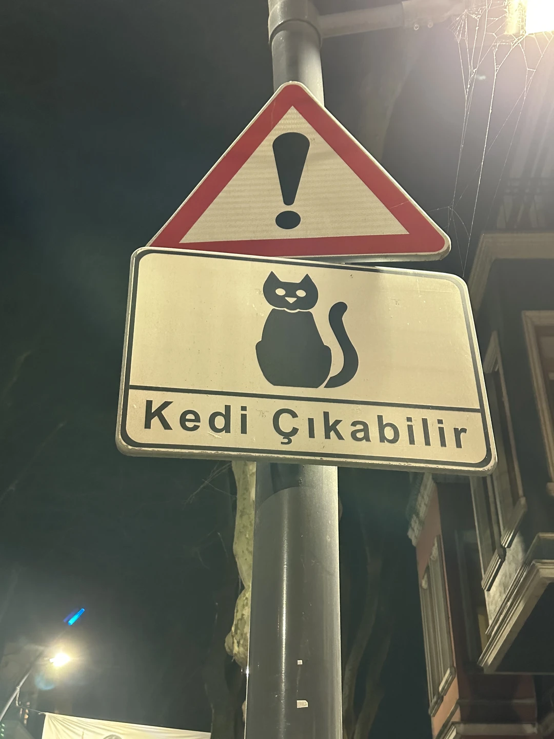 По ночному Стамбулу на автомобиле (Анна)