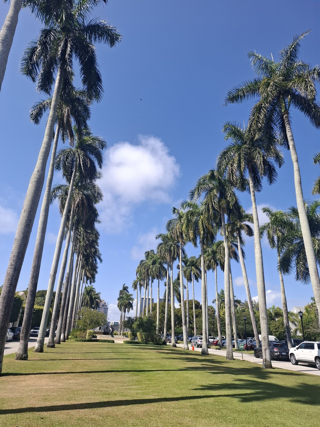 Я очень рада, что мы случайным образом выбрали Артёма. Он очень приятный в общении, эрудированный человек