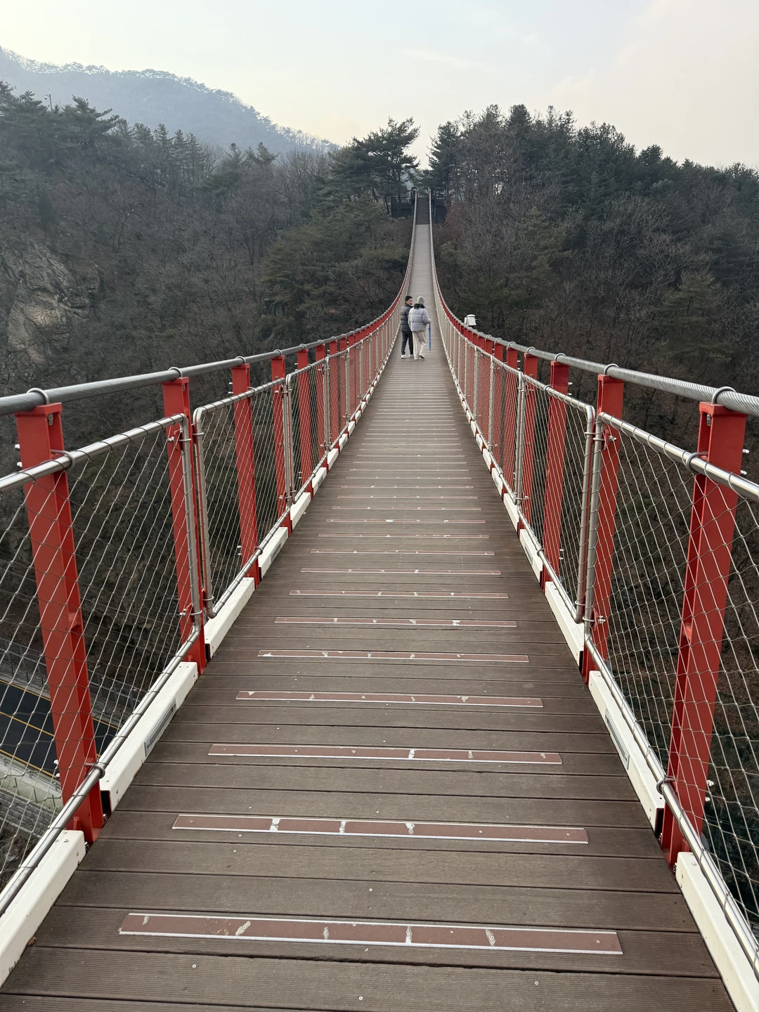 Спасибо большое за экскурсию в DMZ+ подвесной мост. Утром нас встретила Татьяна у отеля, далее мы