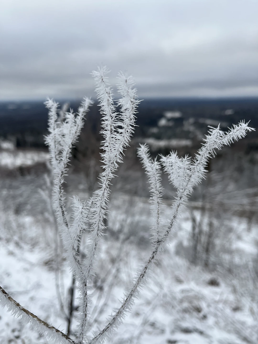 Все прошло отлично