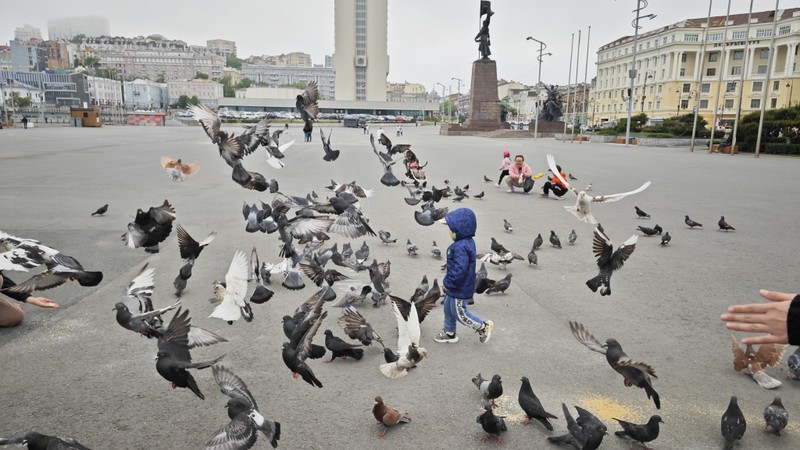 Город у моря — Владивосток
