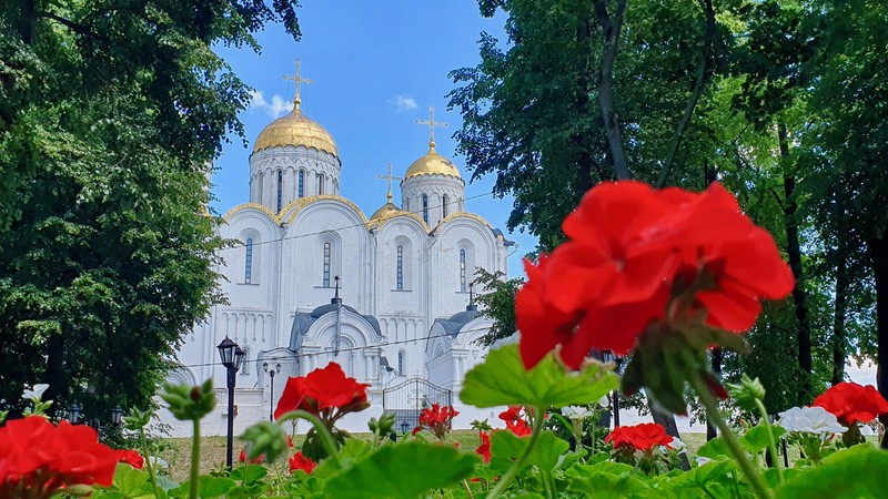 Женский лик древнего Владимира