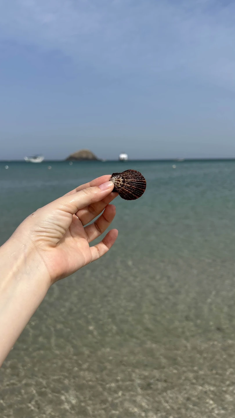 Это была шикарная экскурсия. Огромное спасибо Андрею - нашему гиду. Очень интересный рассказ с заездами на