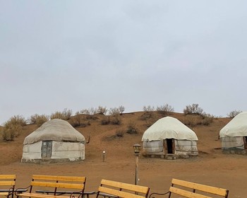 Пустыня Кызылкум