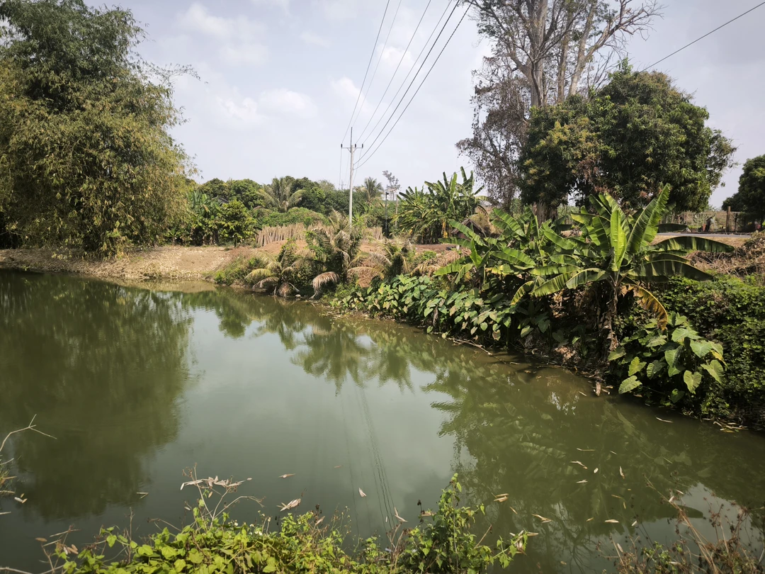 Великолепный гид! Одн из лучших в моем опыте (а опыт достаточно большой). Компетентность, глубина знаний в