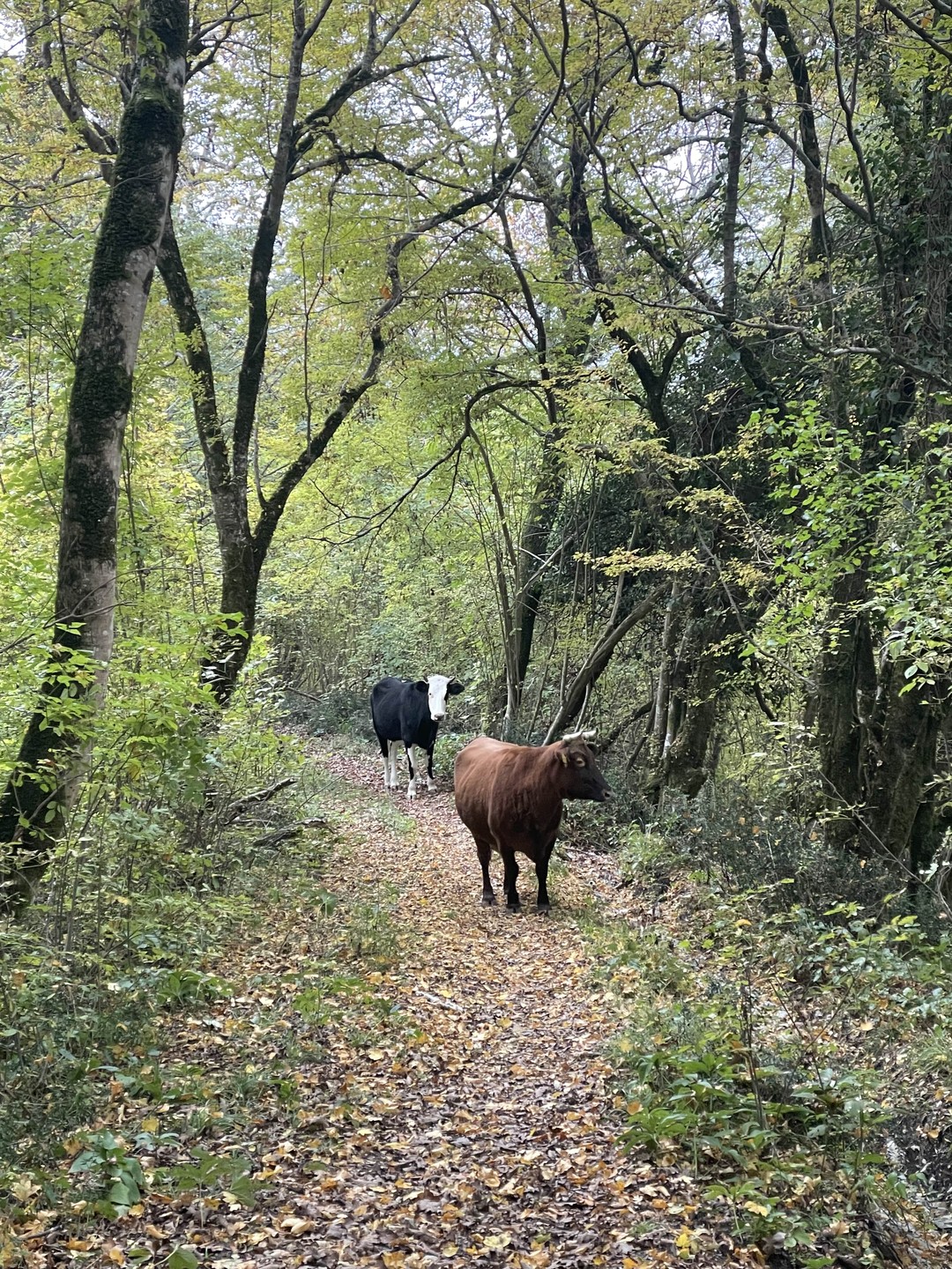 Гидом был Семён. Очень много всего интересного рассказал, маршрут был очень интересный. Местами тяжёлый, но гид